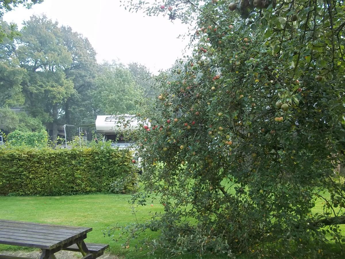 B&B Slaoperij Orvelte Extérieur photo